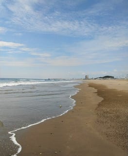 /international/ec/beach-business-with-multiple-income-stream-opportunities-punta-carnero-santa-elena-province-120056687418/