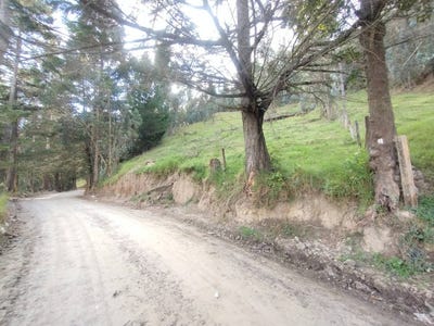 /international/ec/2500m2-lot-located-25-min-from-loja-city-center-north-sector-virgenpamba-via-a-chinguilanchi-loja-loja-310108553940/