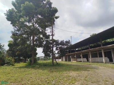 /international/ec/19-de-mayo-s-n-centro-de-la-mana-la-mana-cotopaxi-cotopaxi-province-310101181971/?lang=zh-cn