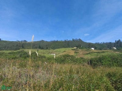 /international/ec/san-patricio-alto-cumbaya-pasaje-chimbo-y-guaranda-s-n-cumbaya-quito-pichincha-quito-pichincha-310094614688/