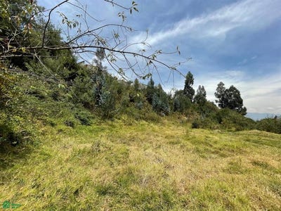 /international/ec/valle-de-los-chillos-av-gral-ruminauhi-y-av-atahualpa-quito-quito-pichincha-quito-pichincha-310095265758/?lang=en