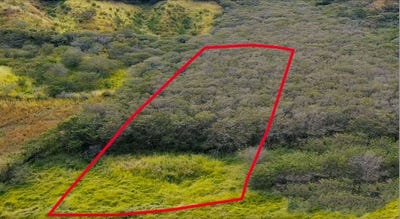 /international/ec/for-sale-lot-13-4000-m2-a-one-acre-vilcabamba-loja-ecuador-garden-of-paradise-santorum-loja-120087101942/