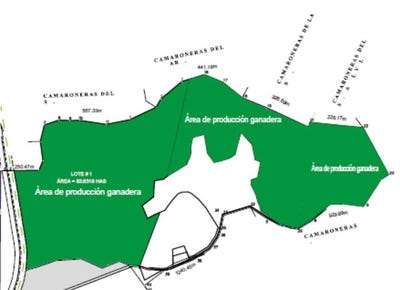 /international/ec/pedernales-acerage-subdivided-via-cojimies-cojimies-manabi-province-310106104970/