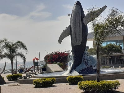 /international/ec/ballenita-brisas-del-valle-opportunity-available-in-a-growing-area-home-and-land-packages-starting-at-56-680-ballenita-santa-elena-province-120080276031/