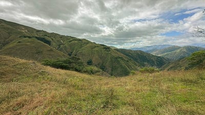 /international/ec/239-hectares-with-water-and-panoramic-views-vilcabamba-loja-310101059405/?lang=zh-cn