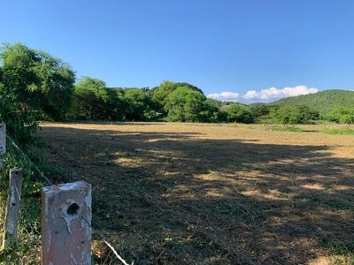 /international/ec/3-lots-of-1200-m2-12916-69-ft2-located-in-an-agricultural-area-at-the-foot-of-the-river-and-10-min-from-ayangue-sinchal-santa-elena-province-120091062967/