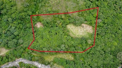 /international/ec/for-sale-lot-3-9137-11m2-a-just-over-2-25-acres-vilcabamba-loja-ecuador-garden-of-paradise-santorum-loja-120087101938/