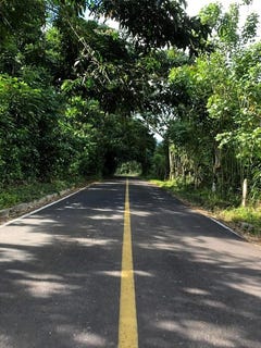 /international/ec/land-for-sale-media-luna-road-santa-cruz-galapagos-puerto-ayora-galapagos-islands-310101229208/?lang=zh-cn