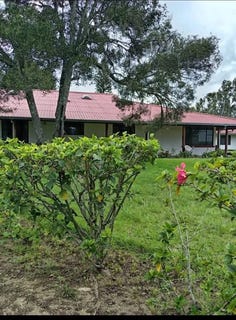 /international/ec/countryside-agricultural-land-farm-for-sale-in-cotacachi-cotacachi-cotacachi-imbabura-province-310108967121/