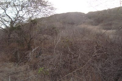 /international/ec/punta-blanca-low-price-great-lot-of-500-m2punta-blanca-entrada-7-punta-blanca-santa-elena-province-120058429795/