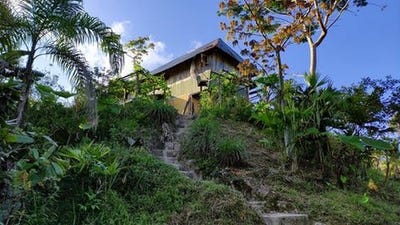 /international/ec/san-vicente-de-huaticocha-orellana-province-120097939593/