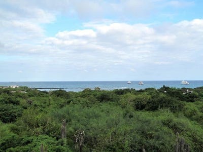 /international/ec/exclusive-property-for-sale-a-el-eden-galapagos-barrio-central-galapagos-islands-310101207032/?lang=zh-cn