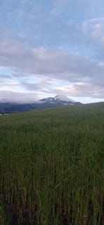 /international/ec/countryside-agricultural-land-farm-for-sale-in-cayambe-cayambe-cayambe-pichincha-310107787921/