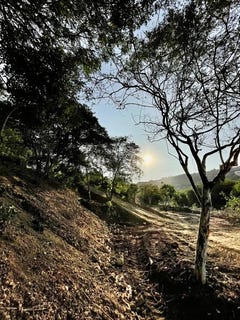 /international/ec/villas-la-punta-lot-for-sale-montanita-santa-elena-province-310097297974/