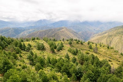 /international/ec/100-hectares-of-nature-in-taranza-vilcabamba-loja-310101059401/?lang=zh-cn