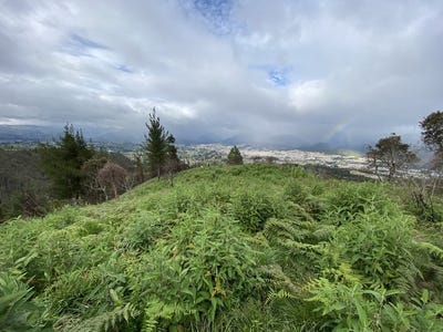 /international/ec/beautiful-1-hectare-land-with-spring-water-views-loja-loja-120067905933/