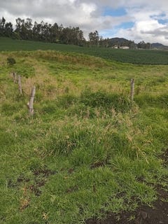 /international/ec/development-parcel-for-sale-in-bolivar-carchi-tulcan-bolivar-carchi-province-310107787862/