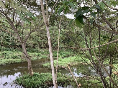 /international/ec/la-mandarin-river-ocean-valley-mountain-manglaralto-santa-elena-province-120080942591/