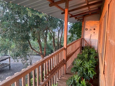 /international/ec/view-the-video-of-this-fully-organic-run-plantation-rocafuerte-manabi-province-310107564624/