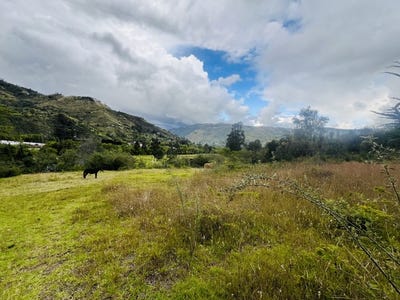 /international/ec/mountain-agricultural-land-farm-for-sale-in-gualaceo-gualaceo-azuay-310107834107/