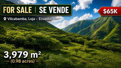 /international/ec/for-sale-3-979-m²-land-surrounded-by-nature-tranquillity-and-privacy-in-vilcabamba-loja-ecuador-santorum-loja-310107787887/