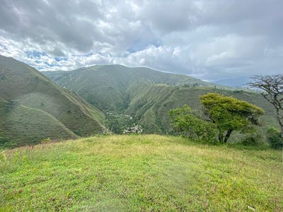 /international/ec/eucalyptus-forest-off-grid-mountainside-land-malacatos-loja-120077419576/