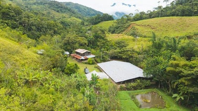 /international/ec/beautiful-farm-in-the-orient-zamora-zamora-chinchipe-province-120066815039/