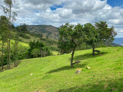 /international/ec/mountainside-homestead-spot-gonzanama-loja-120080276017/