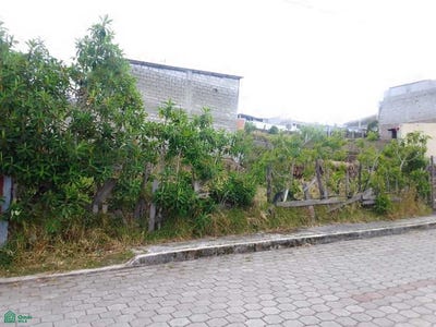 /international/ec/barrio-guamani-calle-s58c-lote-7-s-n-guamani-quito-pichincha-quito-pichincha-310101108954/?lang=es