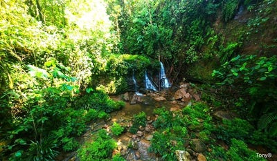/international/ec/mera-mountain-and-countryside-reserve-protected-area-for-sale-in-mera-mera-mera-pastaza-province-310107938666/