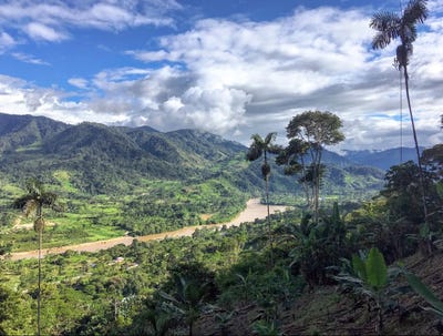 /international/ec/from-forest-to-revenue-a-complete-regenerative-opportunity-e45-troncal-amazonico-yantzaza-zamora-chinchipe-e45-troncal-amazonico-zamora-chinchipe-province-310107264225/