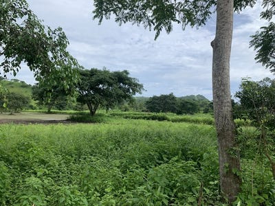 /international/ec/olon-ecuador-land-for-sale-walking-distance-to-town-and-some-of-the-best-surfing-in-ecuador-olon-santa-elena-province-310101207031/?lang=zh-tw
