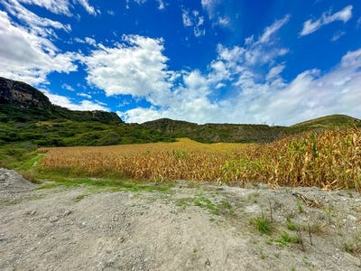 /international/ec/excellent-agricultural-opportunity-a-23-hectares-in-el-arenal-gonzanama-loja-310101247656/?lang=zh-cn