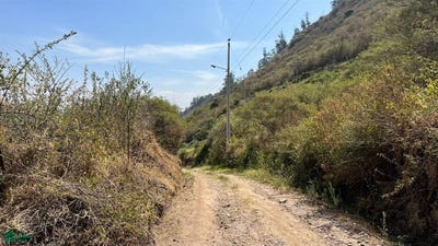 /international/ec/pacho-salas-s-n-tumbaco-quito-pichincha-quito-pichincha-310094614576/