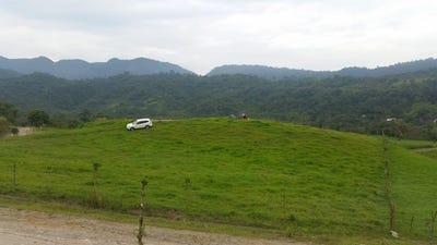 /international/ec/two-premium-homesites-in-gated-nature-retreat-mindo-mindo-pichincha-310107063863/