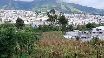 /international/ec/el-cornejo-11-guamani-quito-pichincha-quito-pichincha-310106194243/