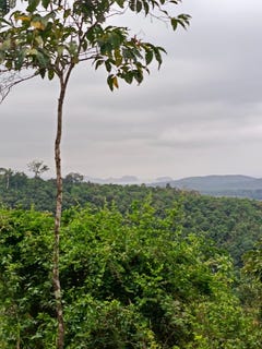 /international/ec/finca-en-puerto-cayo-farm-for-sale-186-hectares-boca-de-cayo-manabi-province-310105531844/