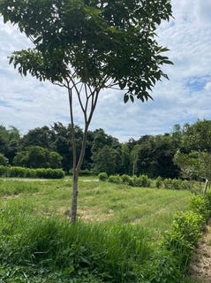 /international/ec/olon-your-peaceful-space-near-the-ocean-starts-here-olon-santa-elena-province-310107787879/