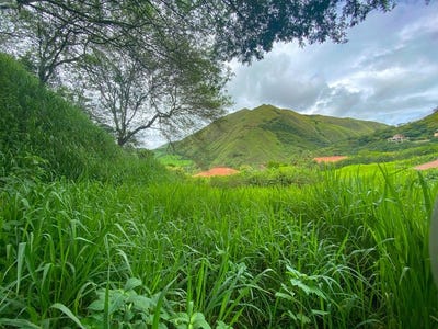 /international/ec/private-and-tranquil-living-build-your-dream-home-in-hacienda-san-joaquin-hacienda-san-joaquin-loja-120084050373/