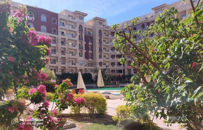 /international/eg/7r2p-cc6-قسم-ثان-red-sea-governorate-1970607-egypt-hurghada-red-sea-governorate-310101131589/?lang=en