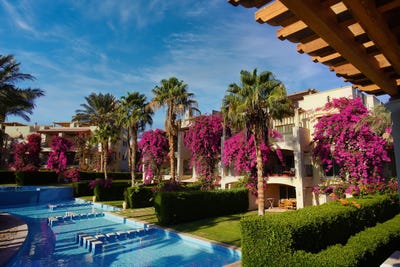 /international/eg/2vqg-48v-hurghada-1-red-sea-governorate-1960713-egypt-hurghada-red-sea-governorate-310108921435/