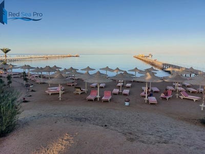 /international/eg/el-nasr-qesm-hurghada-red-sea-governorate-310100959210/?lang=en