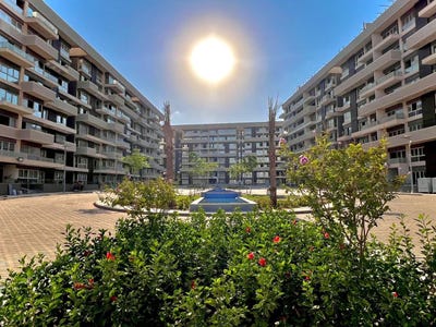 /international/eg/xrp3-mr-kafr-ash-shara-inah-gharbia-governorate-310107943591/