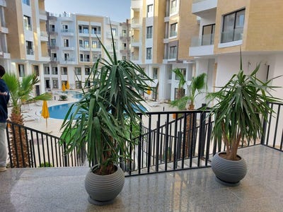 /international/eg/hurghada-hurghada-red-sea-governorate-310101017207/?lang=en