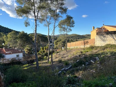 /international/es/olivella-catalonia-310108456195/