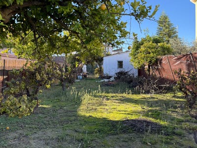 /international/es/salteras-andalusia-310104003603/