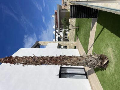 /international/es/torrevieja-alicante-valencian-community-310100137208/