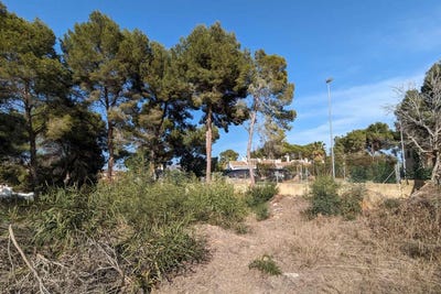 /international/es/moraira-valencian-community-310100760564/