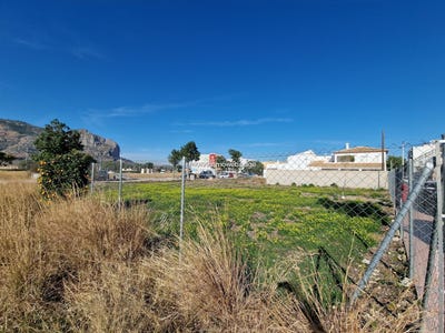 /international/es/el-verger-valencian-community-310101993979/