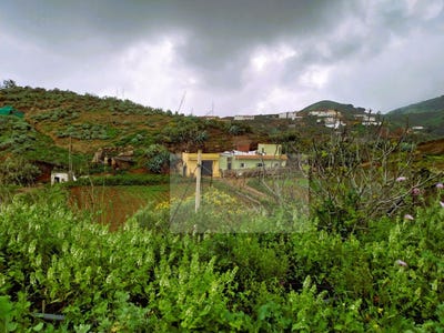 /international/es/santa-maria-de-guia-de-gran-canaria-canary-islands-310099224513/?lang=zh-cn